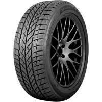 Paxaro Inverno 225/45 R18 95V