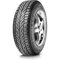 Paxaro Winter 175/70 R14 84T