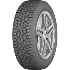 Arivo Ice Claw ARW4 205/60 R16 96T