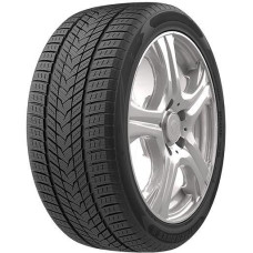 Roadmarch WinterXPro 999 245/45 R19 102H